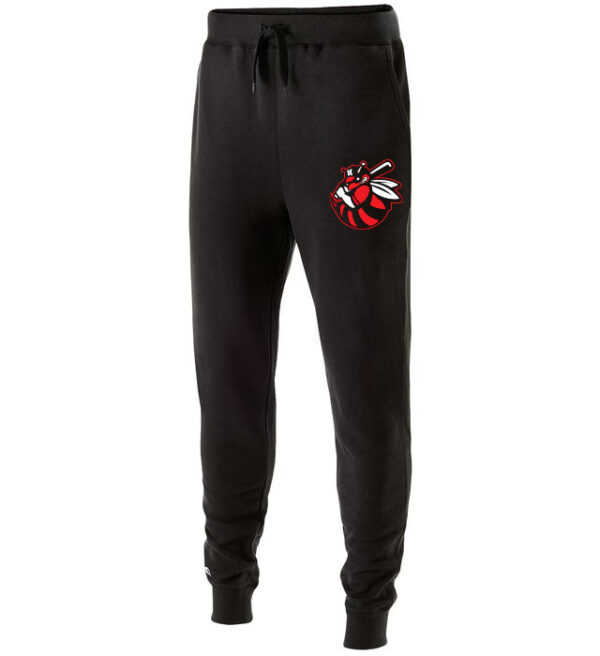 Hornets BB Emblem Joggers